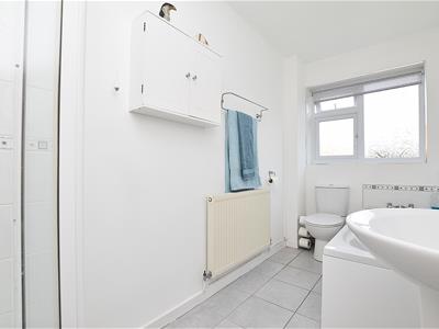 Picture 14